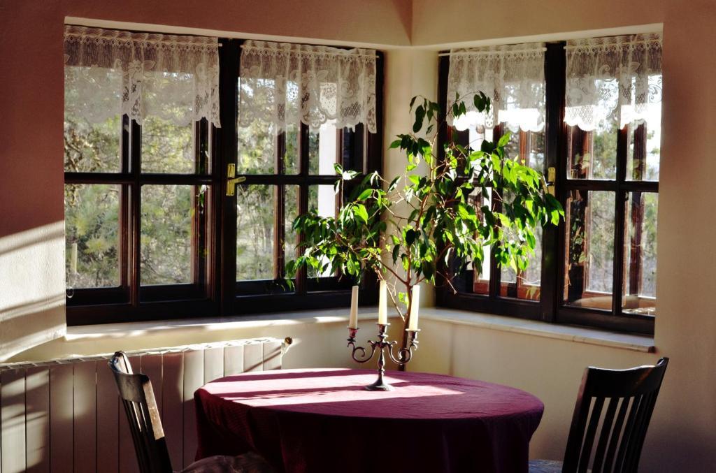 Villa Castelul Maria Banpotoc Chambre photo