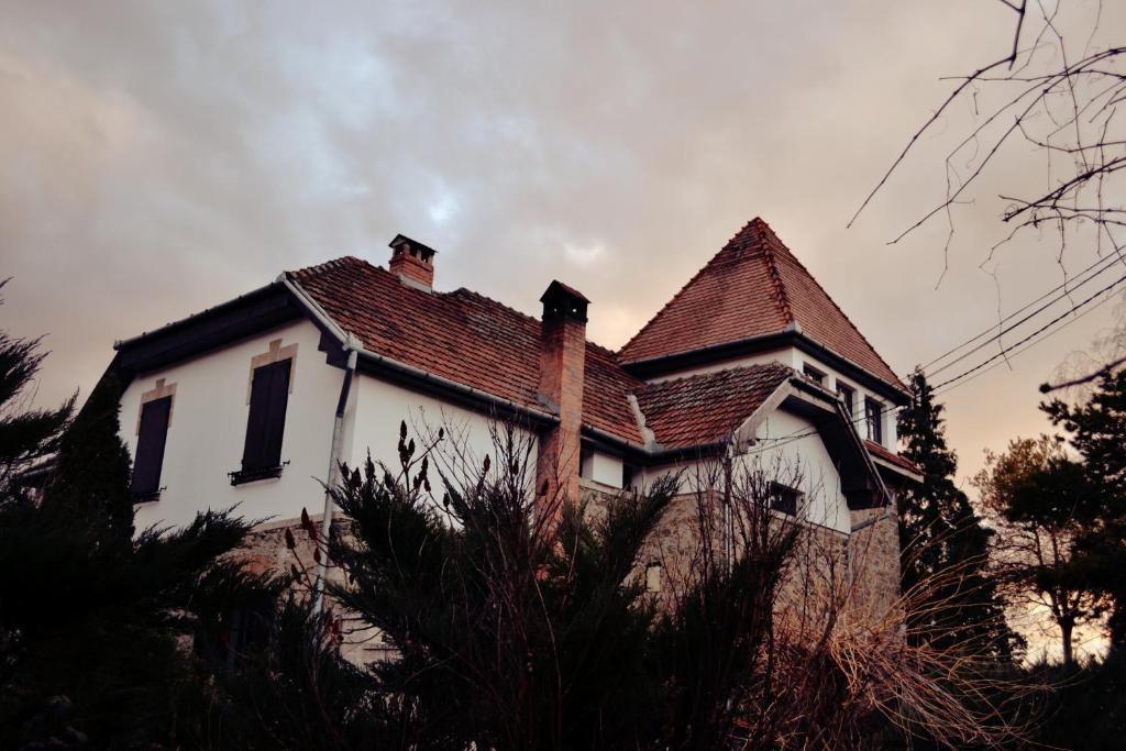 Villa Castelul Maria Banpotoc Extérieur photo